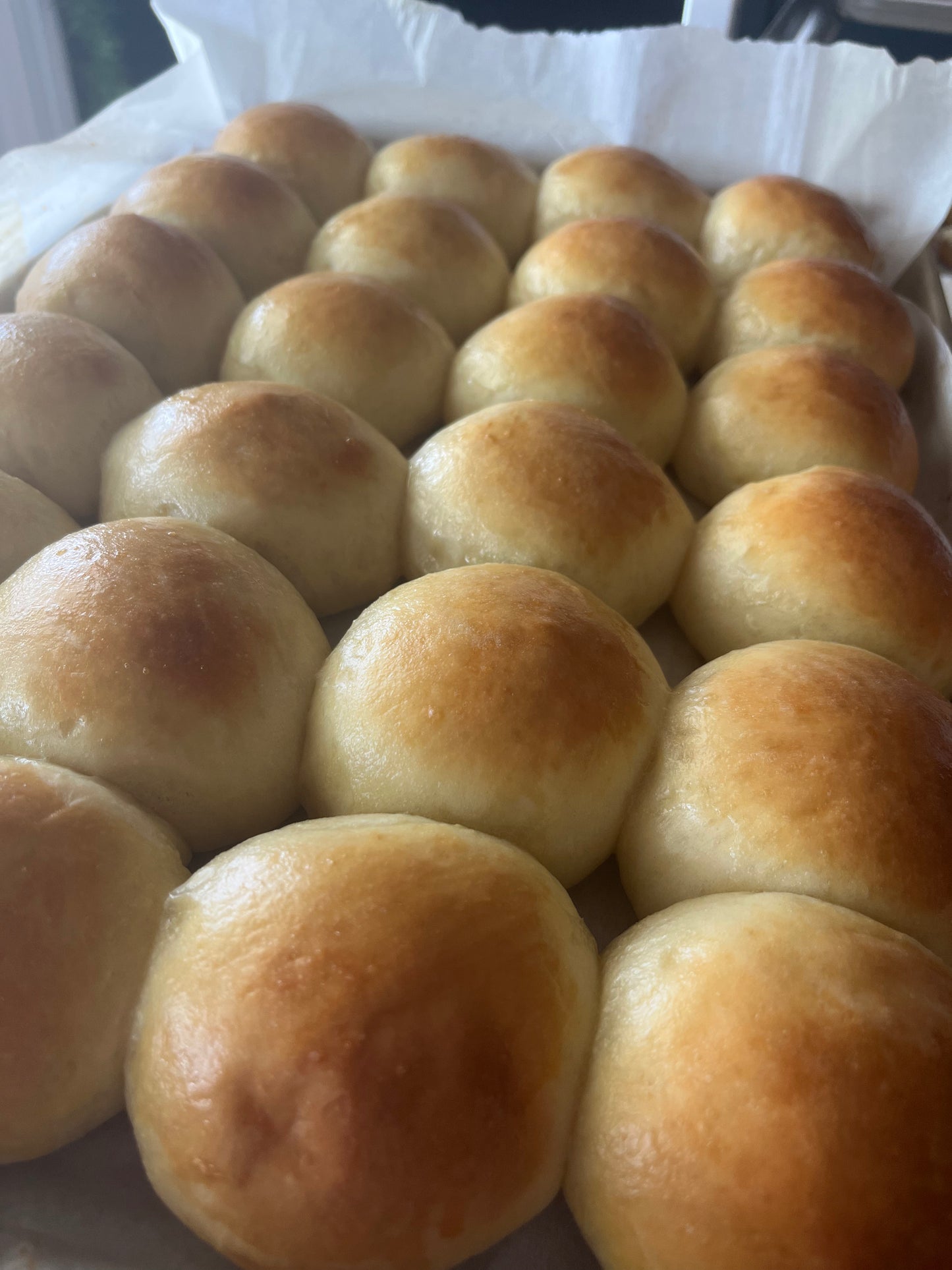 Dinner Rolls