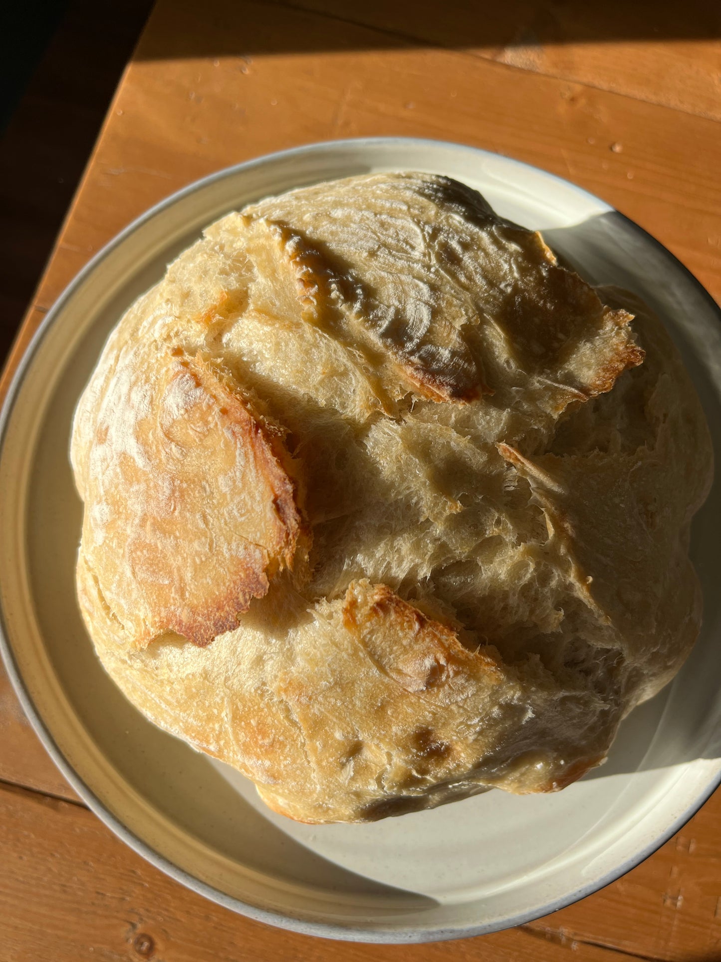 Sourdough Round Loaf